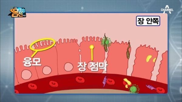 [드링킷] 술과 변은 무슨 인연이 있을까?