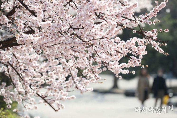 포근한 봄 날씨가 이어진 3일 서울 중구 남산골한옥마을에서 시민들이 봄을 만끽하고 있다. /문호남 기자 munonam@