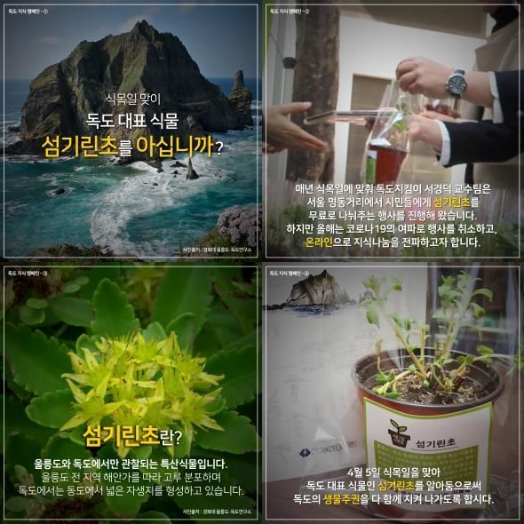 '섬기린초' 관련 카드뉴스/사진=서경덕 교수 제공