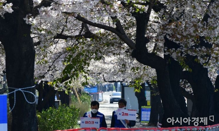 [포토] "아쉽지만.. 올해는 벚꽃구경 참으세요"