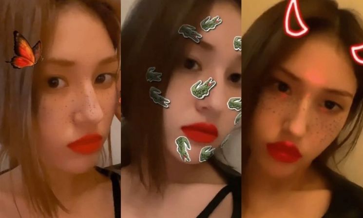 곰돌이가 안아주고 나비가 날아다니는 스타들의 셀카 어플