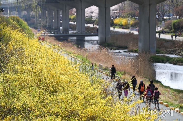 [포토]홍제천 봄 만끽하는 시민들 