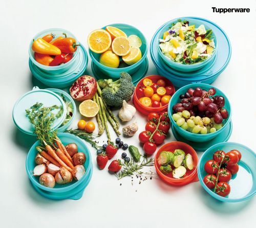 타파웨어, 냉장고 정리세트 ‘모듈러 보울’·‘펭귄 솔루션’ 출시