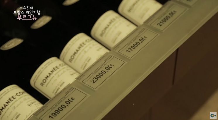 사진=유튜브'EBS 컬렉션 - 라이프스타일' - 최고의 와인, 로마네 콩티 화면 캡처