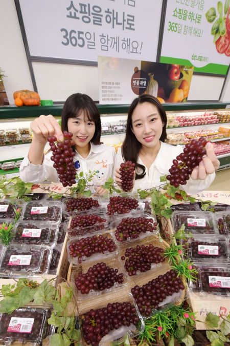 농협 하나로마트, 양재점서 올해 첫 국산 '델라웨어 포도' 판매