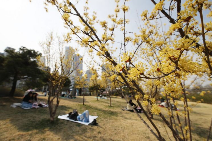 포근한 봄 날씨를 보인 지난달 25일 오후 서울 영등포구 여의도 한강공원에서 시민들이 봄나들이를 즐기고 있다. / 사진=연합뉴스