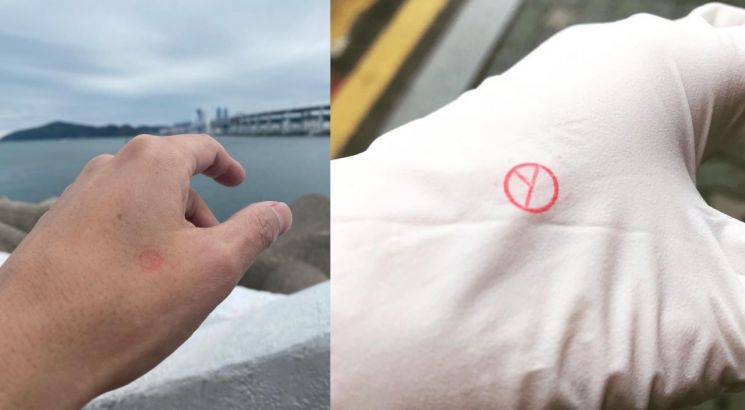 정우성-박서준-아이유-이다희...스타들 사전투표 인증, 류진-채령-아이엔 첫 투표 소감(종합)