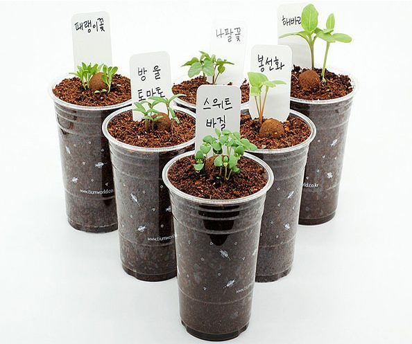 집밖은 위험해…코로나19에 여가·꽃놀이 모두 집에서 해결한다