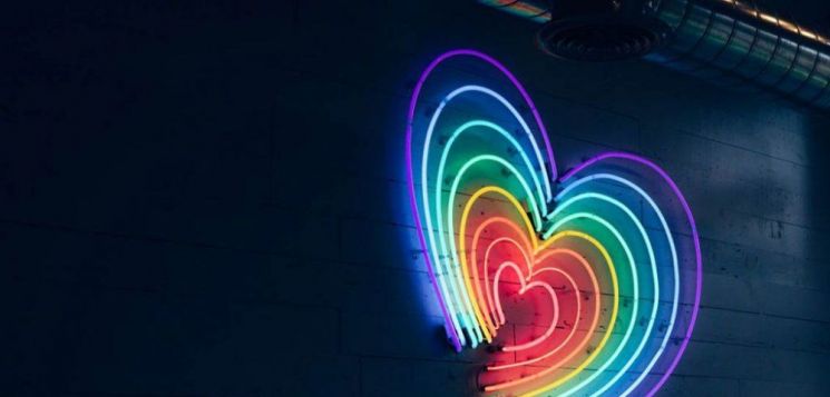 [드링킷] 독특한 빛깔을 가진 술이 있다?