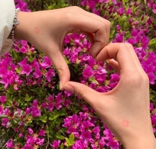 옷 색깔이 뭐라고…선거철 연예인들 때아닌 정치색 논란