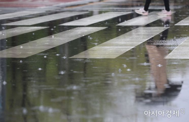 [포토] '요란한 봄비'