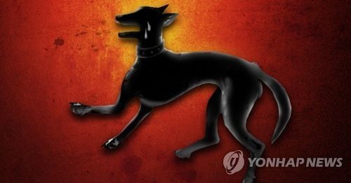 "새끼 앞에서 어미개 도살" 동물권단체, 학대자 경찰 고발