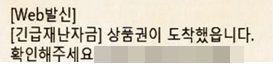 신종 코로나바이러스 감염증 긴급재난 지원금 사칭 스미싱 문자/사진=서울시 제공