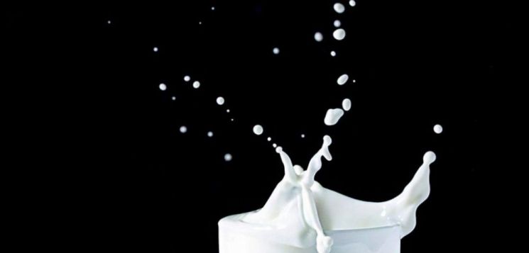 [드링킷] 우유가 퐁당! 밀크 칵테일