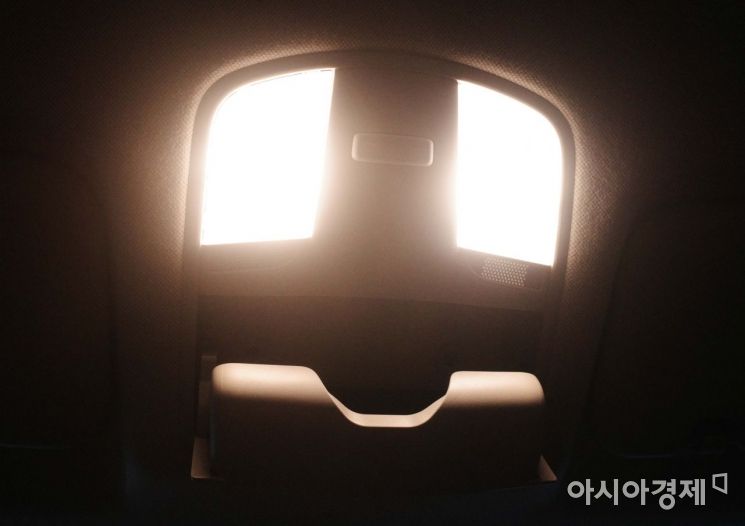 차량 조명장치가 큰 눈과 납작한 코를 가진 외계인처럼 보인다. /문호남 기자 munonam@