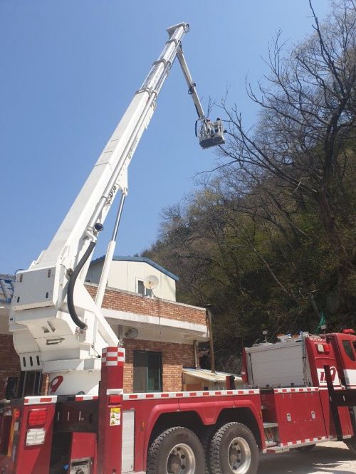 진안119안전센터, 고사목 제거에 ‘구슬땀’