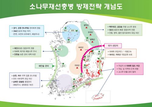 소나무재선충병 방제전략 개념도. 산림청 제공
