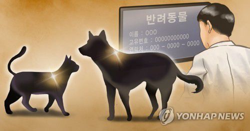 반려 동물 등록제/사진=연합뉴스