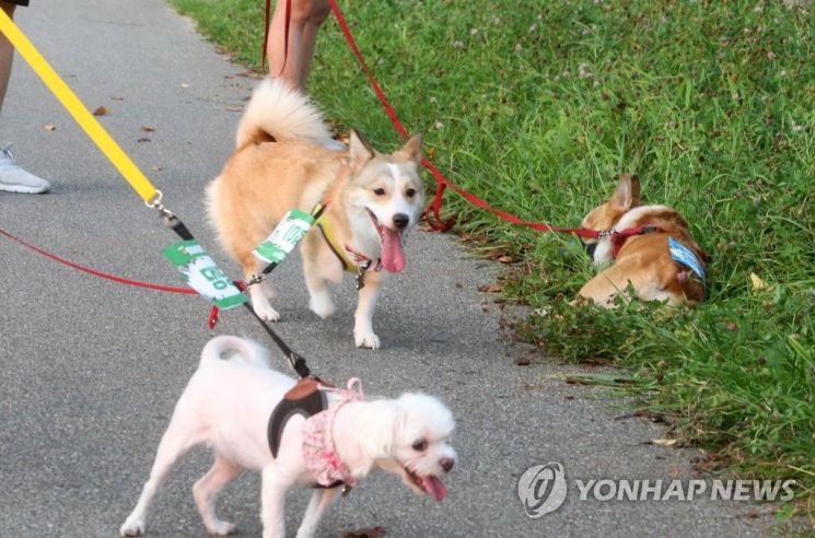 사진은 기사 중 특정 표현과 무관. [이미지출처=연합뉴스]