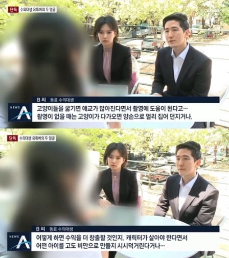 유튜버 갑수목장이 동물학대 의혹 휩싸였다. 사진=뉴스A 방송화면 캡처