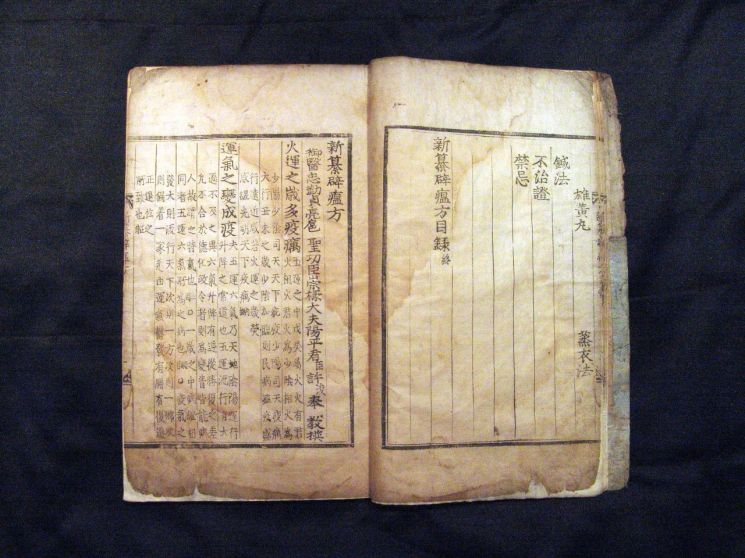 조선은 전염병 위기를 어떻게 극복했을까