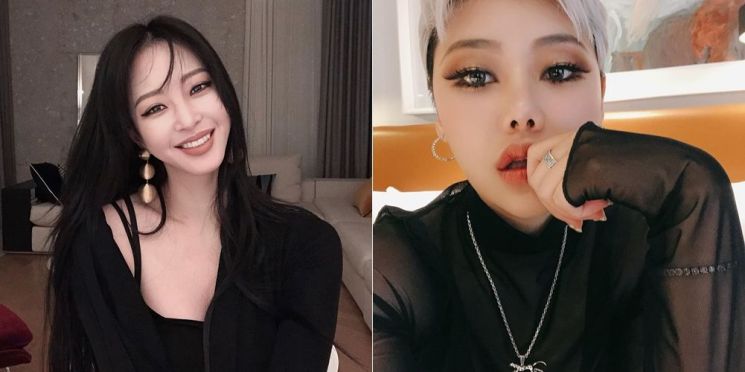 아치형 브로우 메이크업을 한 한예슬과 치타. 사진=한예슬, 치타 인스타그램