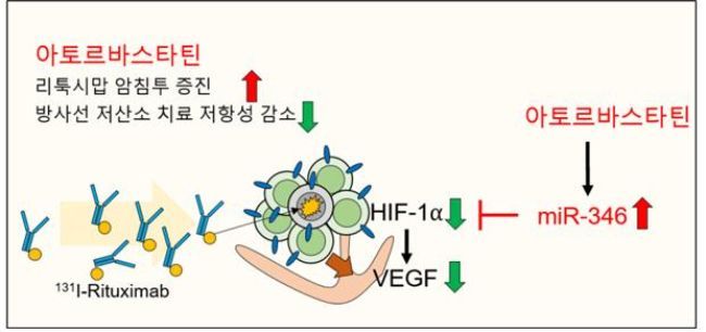 아토르바스타틴은 항암표적치료제인 리툭시맙의 암 조직 침투를 용이하게 하고, 산소 농도가 낮아 방사선 치료를 어렵게 만드는 저산소증 암세포의 치료 저항성 극복을 도와준다.