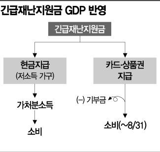 "재난지원금, GDP 효과 미미…미래소비 앞당길 뿐"