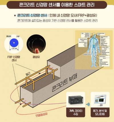 신경망 센서 개념도 (제공=한국건설기술연구원)