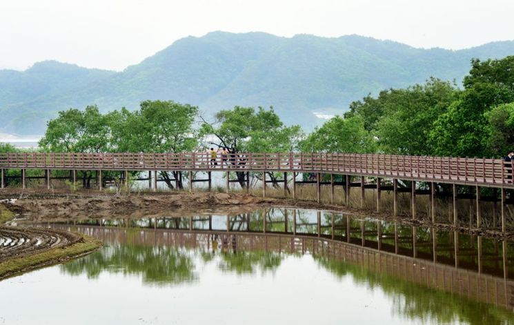 [조용준의 여행만리]느리고 더딘 걸음…풍경이 눈에 들어온다 
