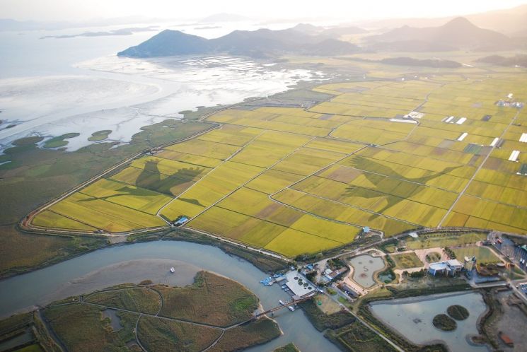 순천만습지, 생태체험프로그램 ‘도요새를 찾아 떠나는 여행’ 운영