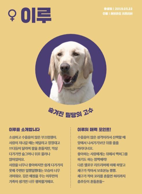 마약탐지견의 견생(犬生) 이모작…관세청, 은퇴 견 민간분양