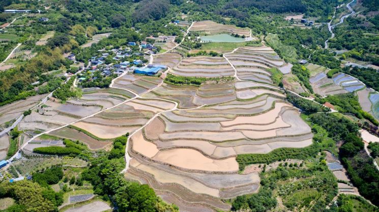 [포토] 모내기 준비 한창인 구례군 산동면 사포마을 다랭이논