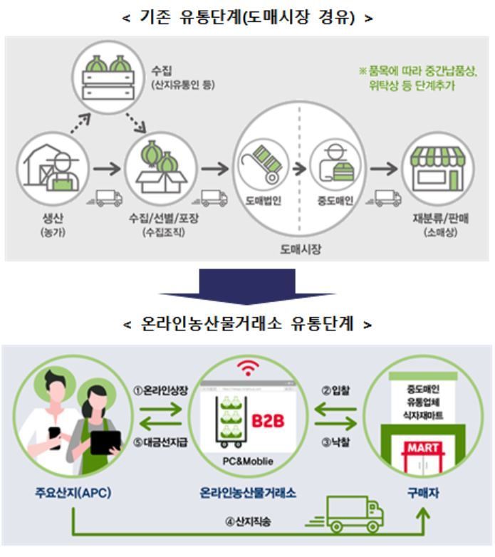 농산물 도매유통 거래도 '언택트' 시대…양파·마늘 시범사업