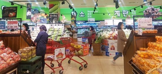 롯데마트, 농협과 제철과일·채소 최대 20% 할인 판매