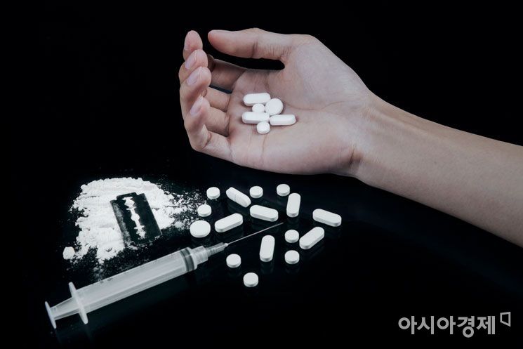[2022 국감] 올 들어 마약사범 다시 증가 … "상담·치료기관 늘려야"