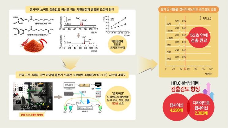 김치 매운맛 성분 고감도 동시 분석 기술