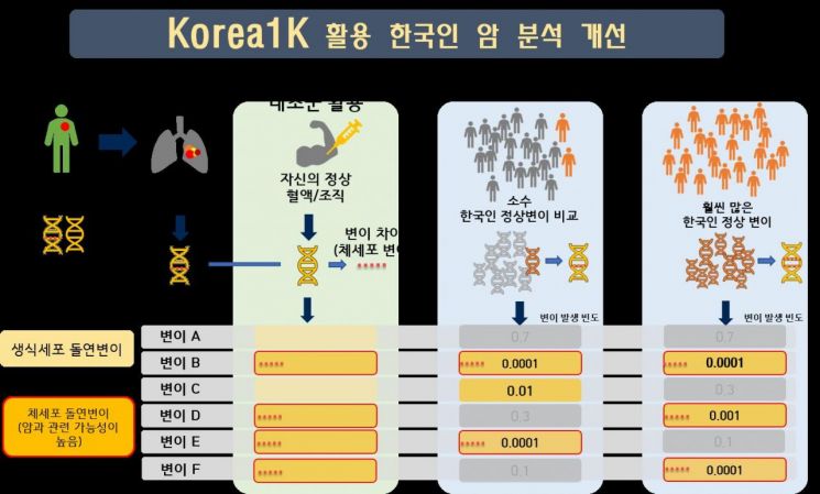 이번 데이터를 활용한 한국인의 암 분석 개선도.