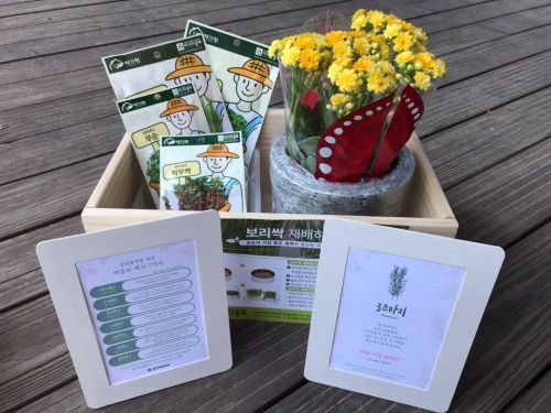 군산시, 자가 격리 기간 “반려 식물로 재미 느껴보세요~”