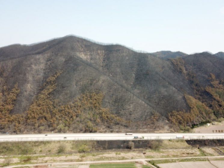 드론으로 촬영한 안동 산불 피해지역 전경. 산림청 제공