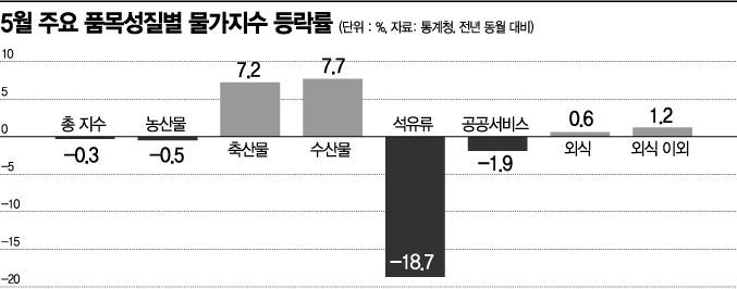 물가 8개월 만에 마이너스…"아직 디플레이션은 아니다"