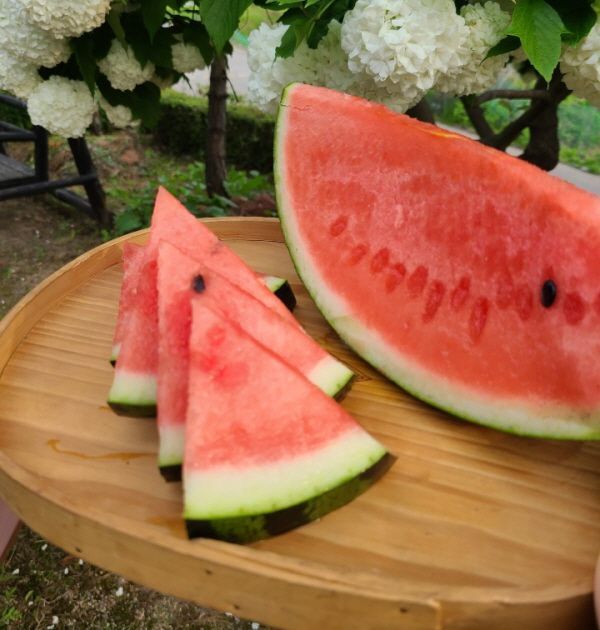 [요리수다] 여름이라 좋다! 함안수박축제