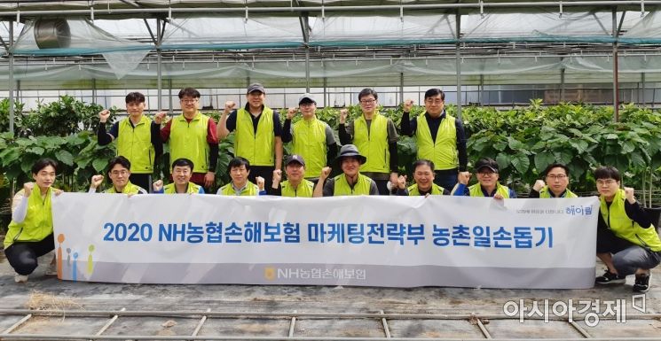 NH농협손해보험 헤아림 봉사단은 3일 경기도 하남시 연재농원을 방문하고 농촌 일손돕기를 실시했다고 4일 밝혔다.