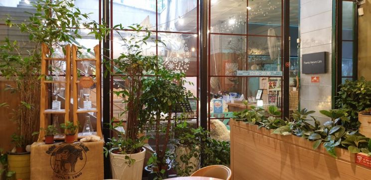 [인스타산책] 땡스네이쳐 - 도심 속 자연을 찾다