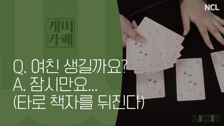 '개미카페' 별책부록 '야매타로'