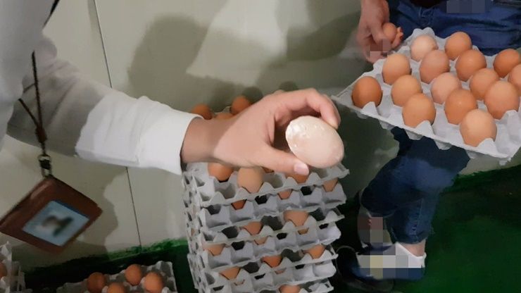 경기도 특사경, 불량 계란 유통 판매·음식점 65곳 '철퇴'