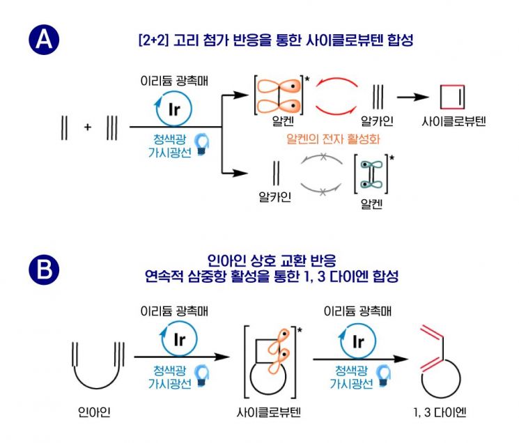 가시광선으로 약물의 ‘뼈대’를 만들었다