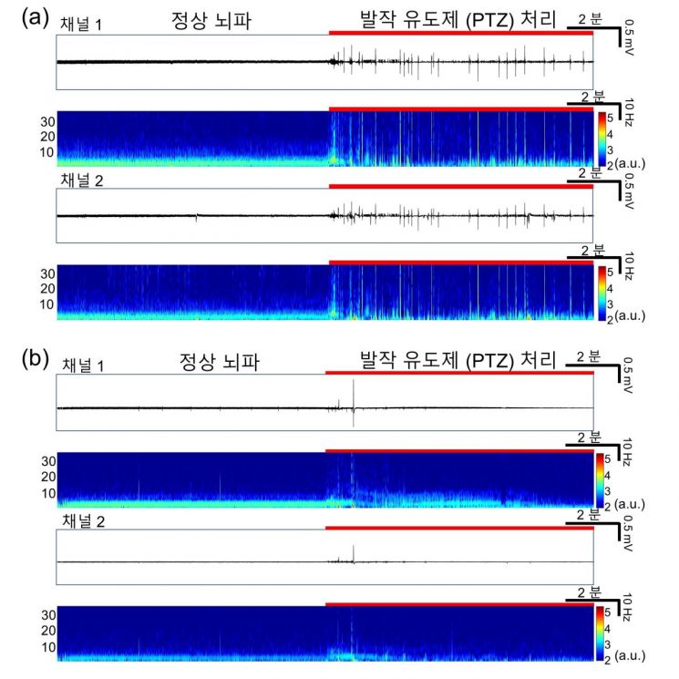 제브라피쉬 여러 마리의 뇌파를 측정한 결과