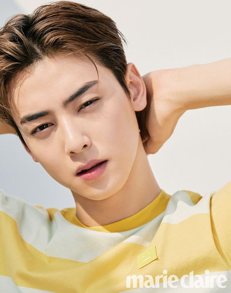 차은우, 얼굴 천재 비주얼