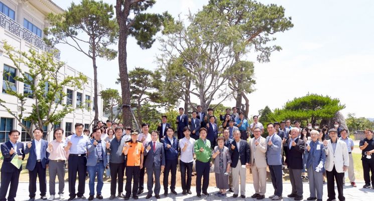 경북도청 앞마당에 희귀나무 151그루 우뚝 '화제 만발'